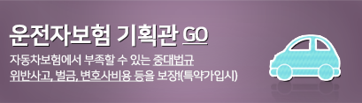 ں ȹ GO : ڵ迡   ִ ߴ ݻ, , ȣ  !(ƯడԽ)