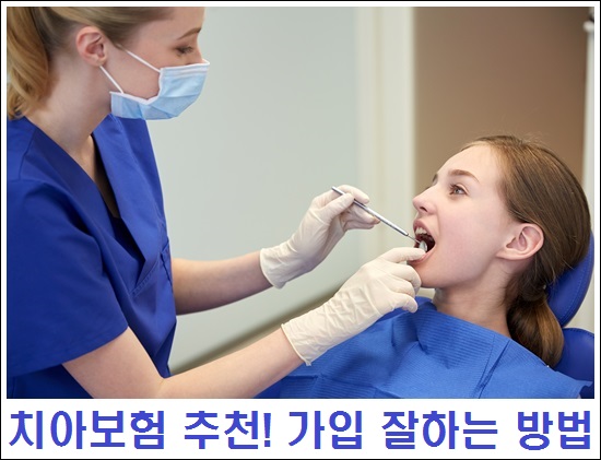 보험비교사이트