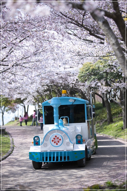  Ʒ Ķ 峭  